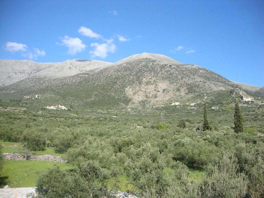 Kafiona Guesthouse Pírgos Dhiroú Kültér fotó